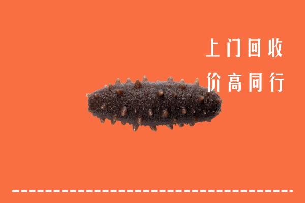 高价求购：新华区回收海参