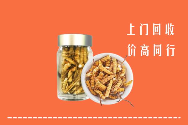 新华区回收冬虫夏草
