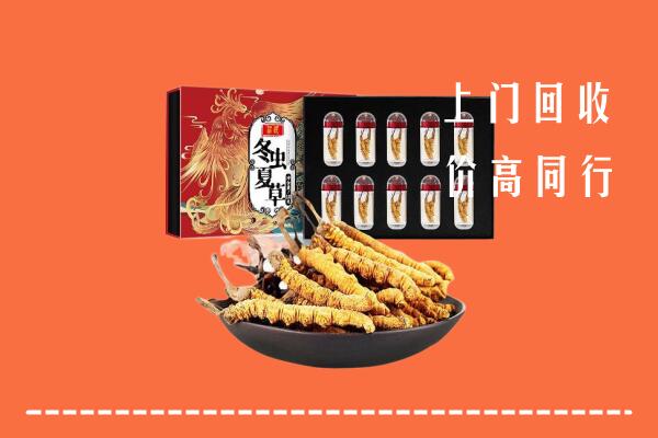 新华区回收虫草